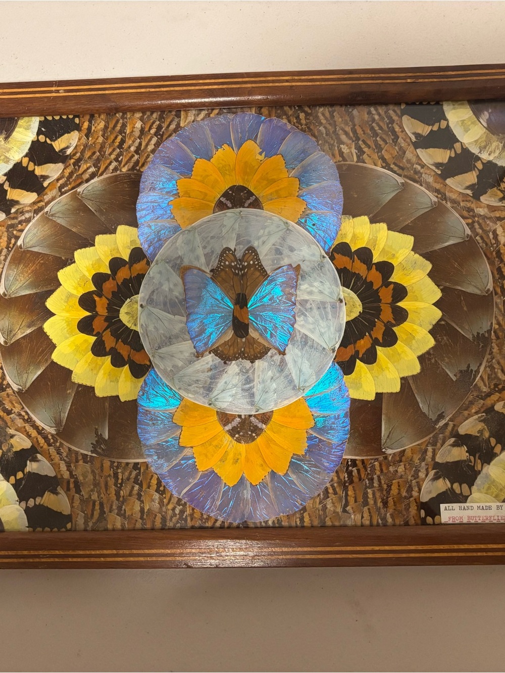 VTG MID-century Brazilian serving tray art piece with genuine butterfly wings
